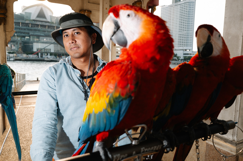 Use left and right keyboard arrows to navigate